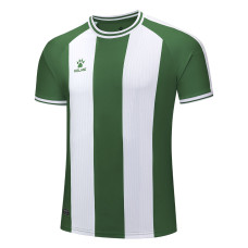 Футболка Kelme зелено-біла GRANADA 7451ZB1795.9311 Футболка Kelme зелено-біла GRANADA 7451ZB1795.9311